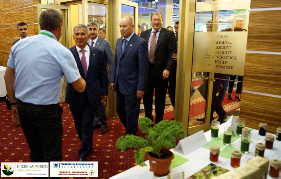 ���������� �����������, ����������