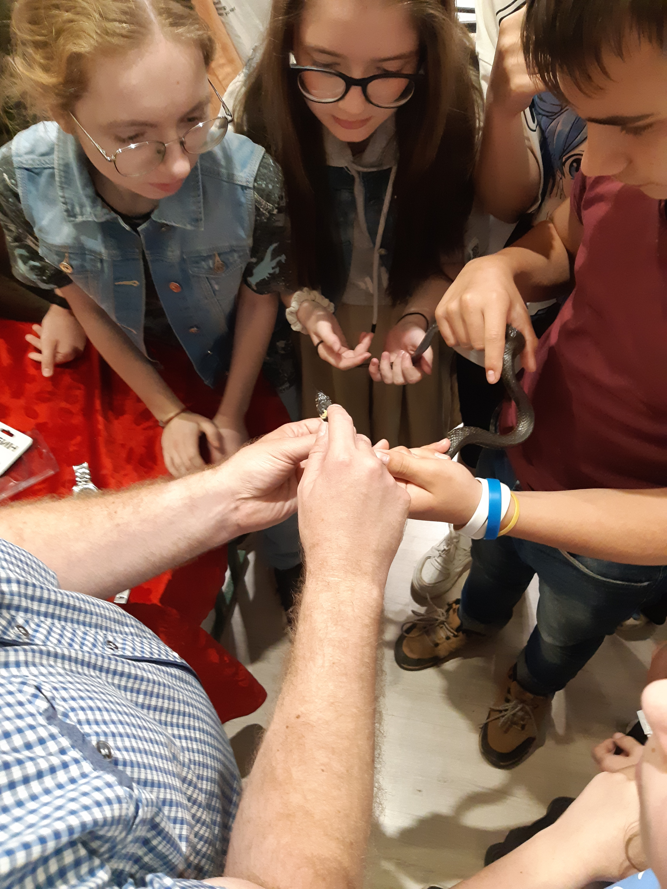 ������ ? ����