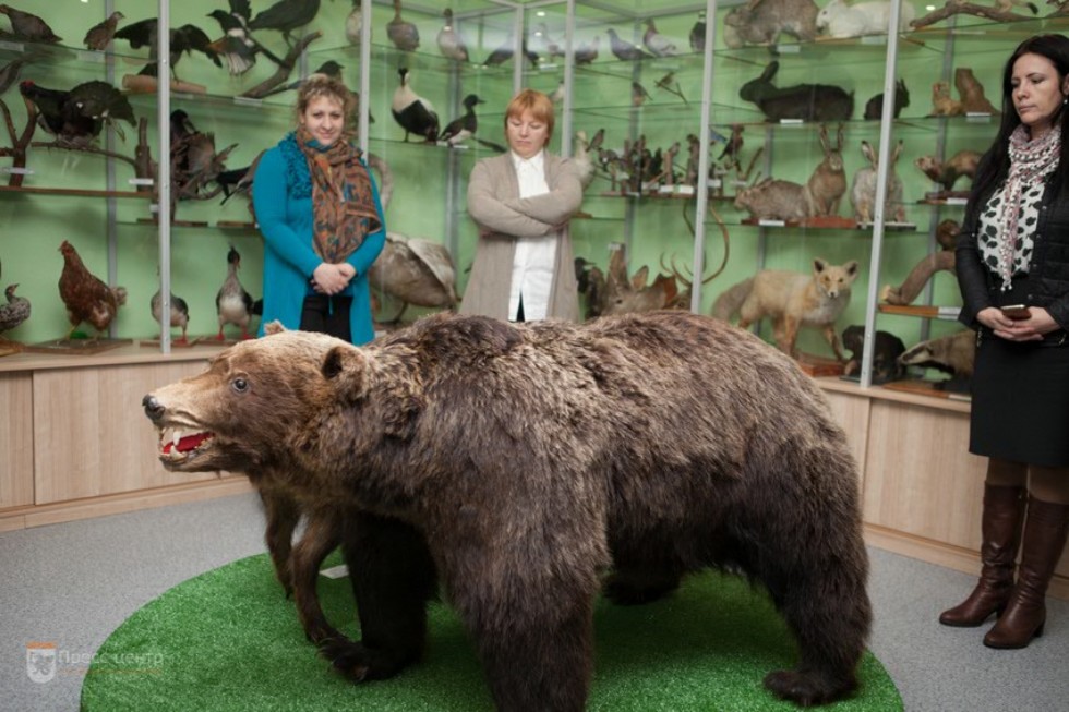 The museum complex of Elabuga institute of KFU was replenished with a zoological exposition