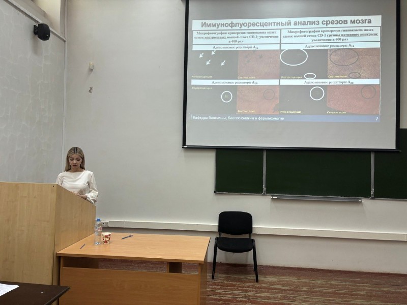 На кафедре состоялись защиты выпускных квалификационных работ студентов бакалавриата На кафедре состоялись защиты выпускных квалификационных работ студентов бакалавриата