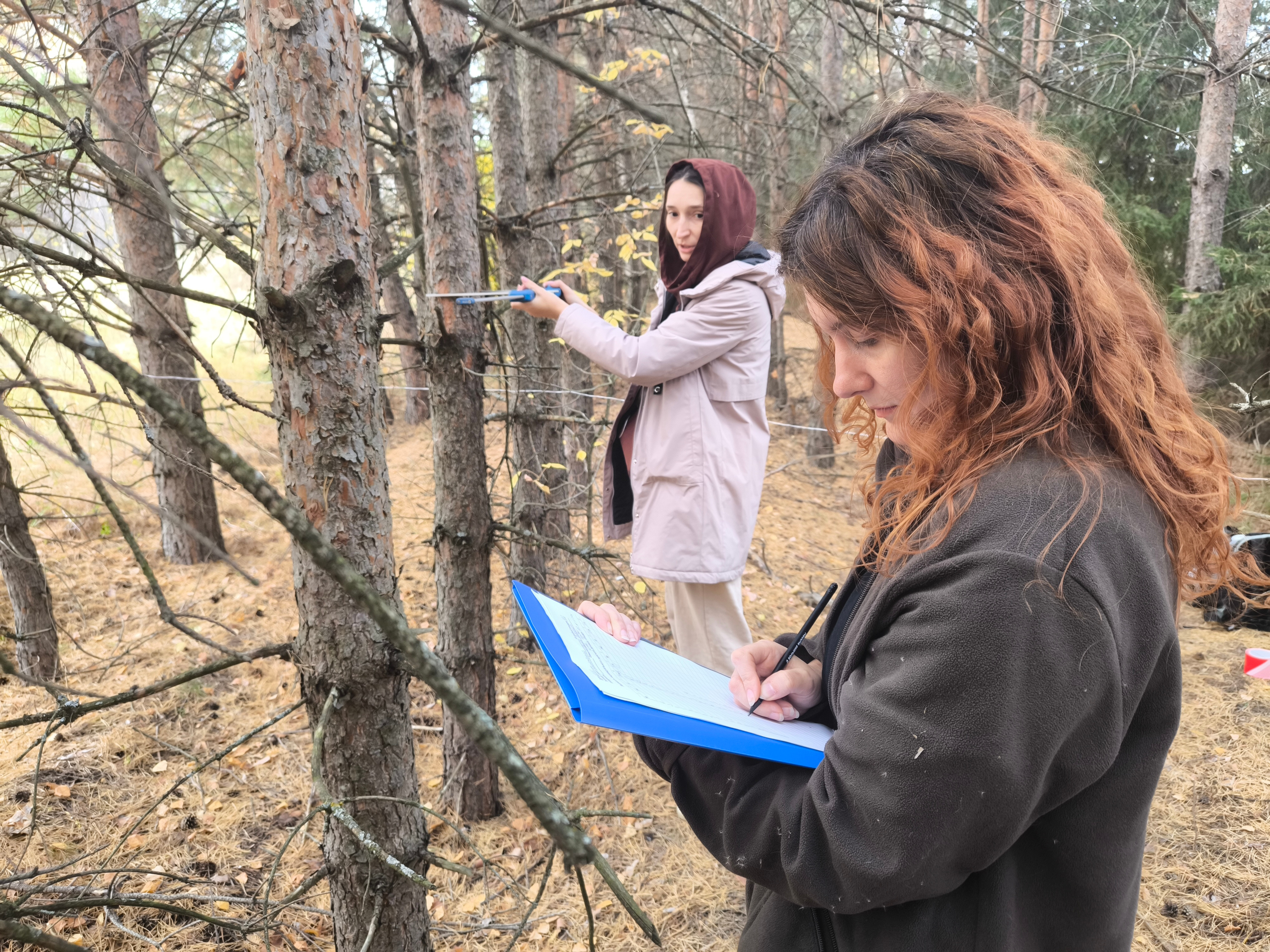 Оценка скорости прироста биомассы разновозрастных лесополос Оценка скорости прироста биомассы разновозрастных лесополос