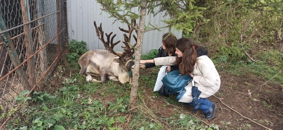 Экскурсия студентов в загородный эко-отель THE Камский Экскурсия студентов в загородный эко-отель THE Камский