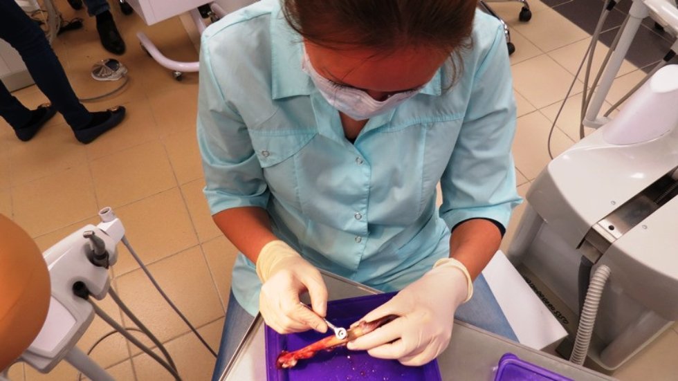 ��������� ������������