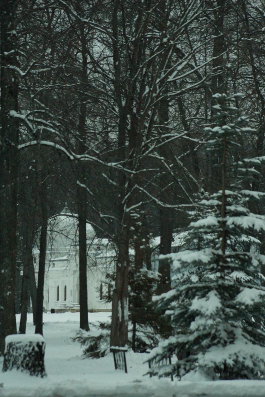 ������� �����������!