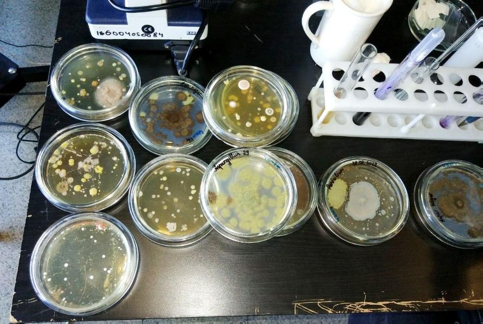 � ��� ������ ���� ����������� � �������� ��������������� �������� ���