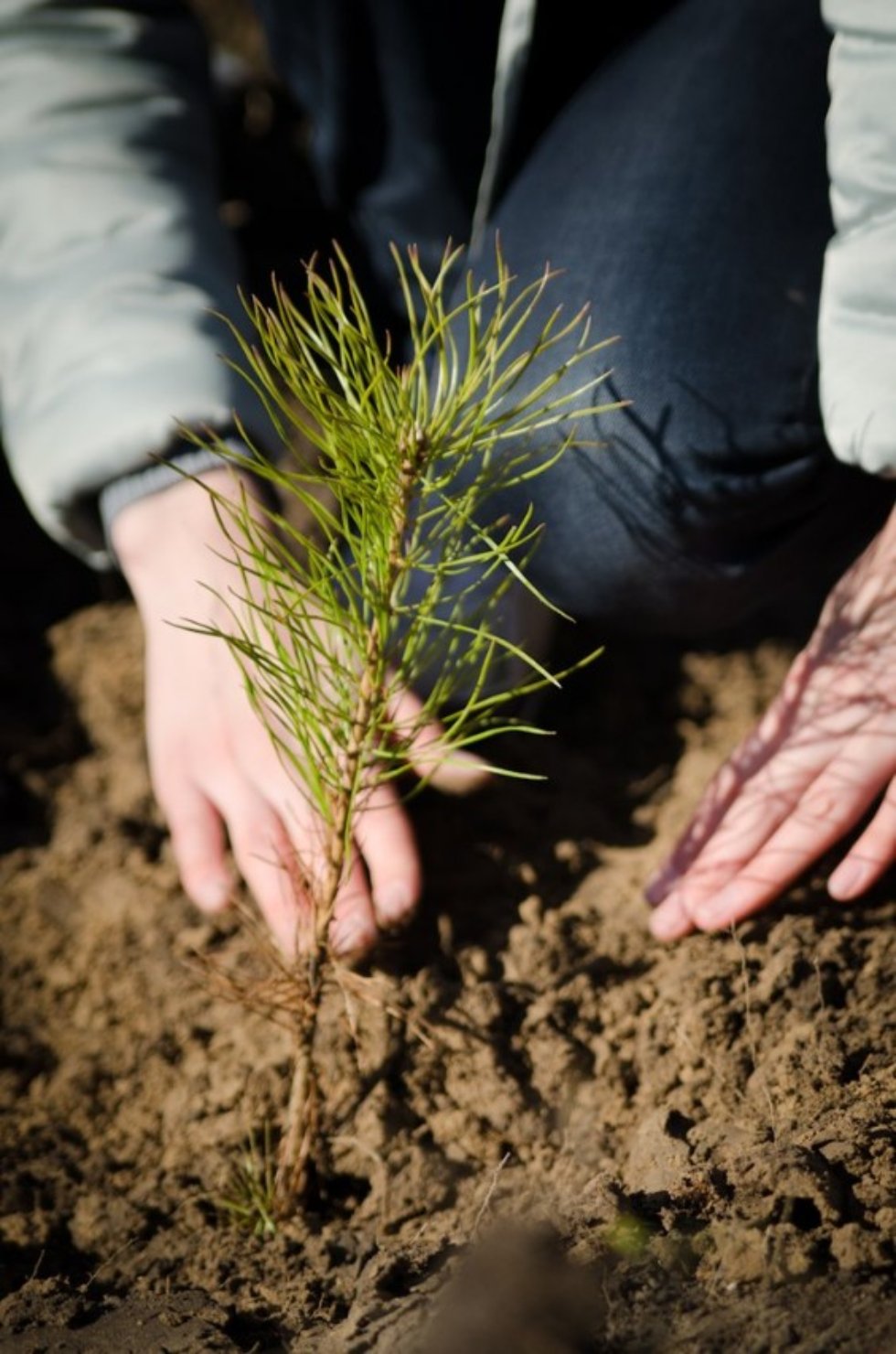 Social Committee of the Law Faculty Social Committee of the Law Faculty