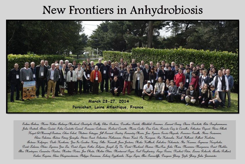 New Frontiers in Anhydrobiosis