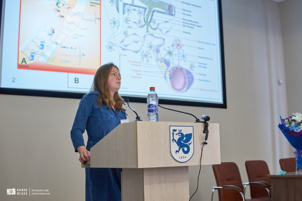 Конференция Конференция