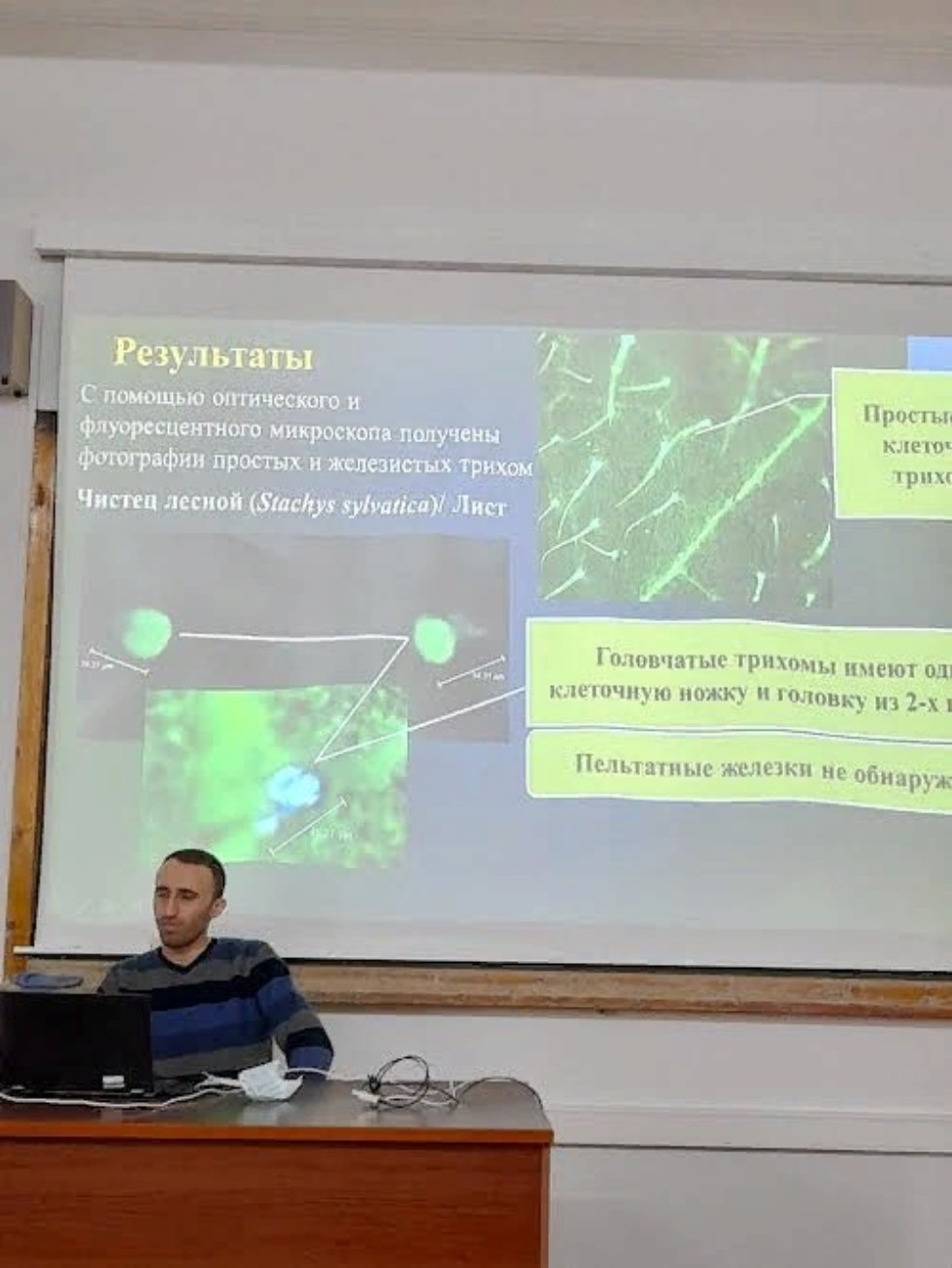 Проведение итоговой научной конференции сотрудников Казанского университета, секция: 'Актуальные проблемы биологии растений' на кафедре ботаники и физиологии растений Проведение итоговой научной конференции сотрудников Казанского университета, секция: 'Актуальные проблемы биологии растений' на кафедре ботаники и физиологии растений