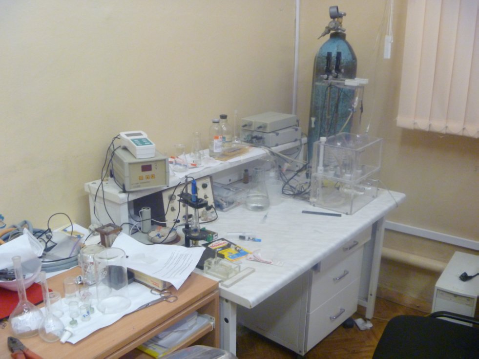 ������� ������������