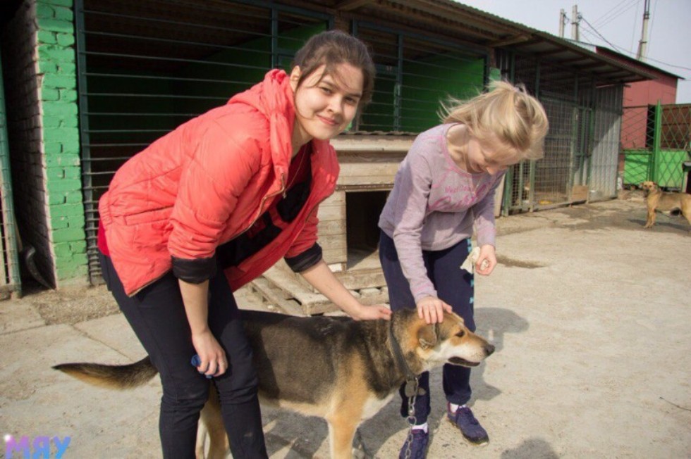 �������� ������������ ����������