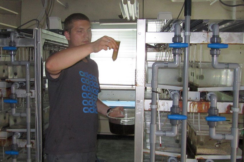 �������� ��������� ��������������� �������� � �������� ��� ������� ����� ������� ����� 'Monbukagakusho: Mext' ������������� ������