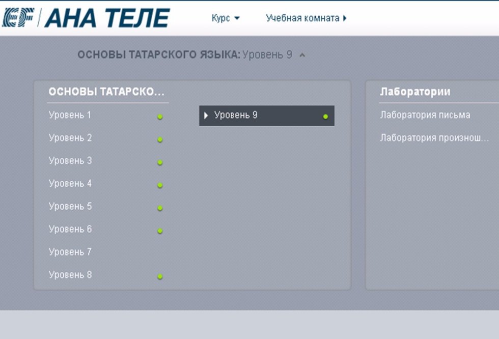 Центр татарского языка 'АНА ТЕЛЕ' ,Центр онлайн-школы обучения татарскому языку 'АНА ТЕЛЕ'