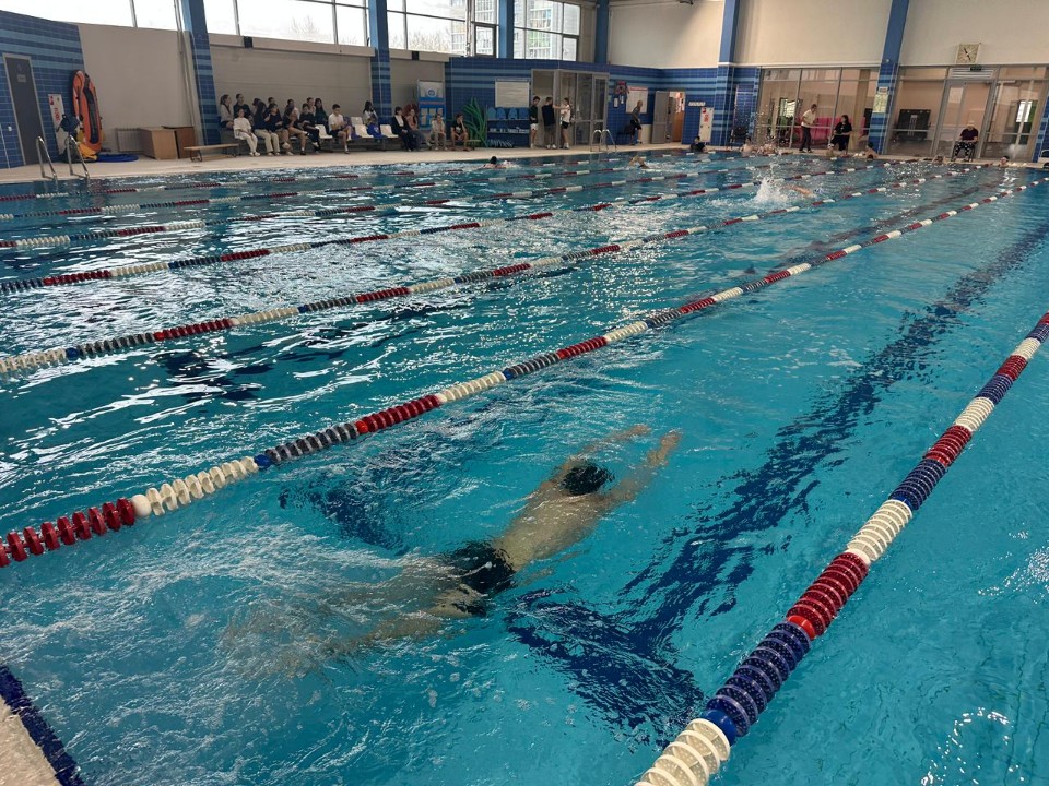 'Бустаниада: плавание' 'Бустаниада: плавание'