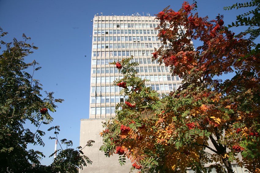 ��������� ������������� �����