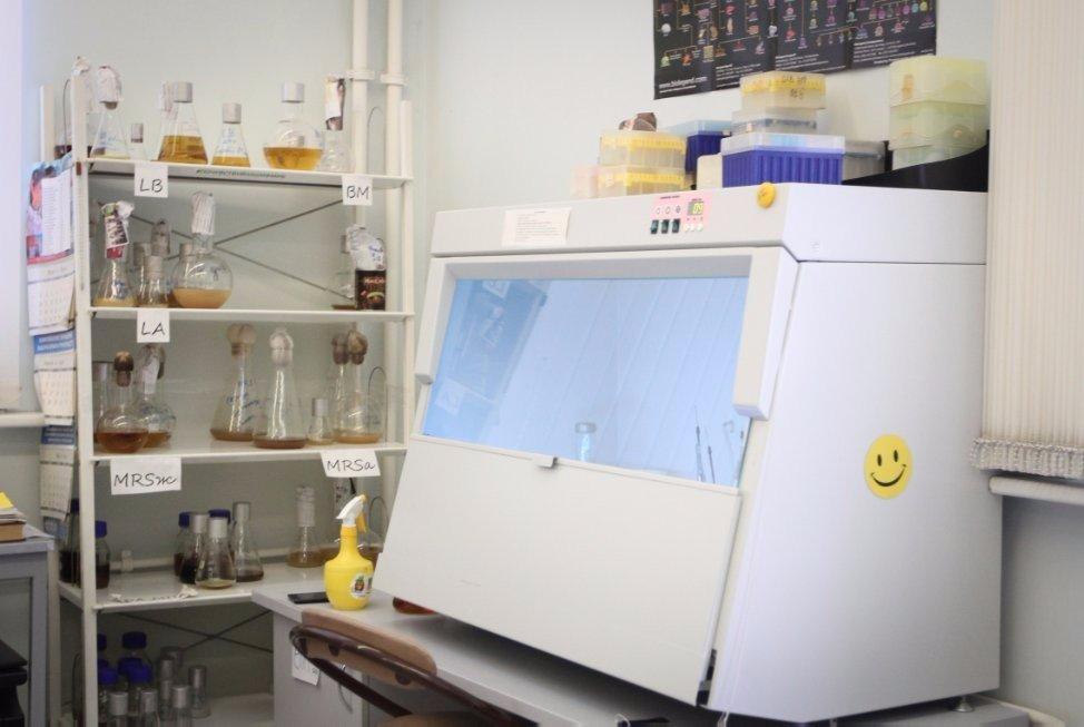 New generation probiotic developed