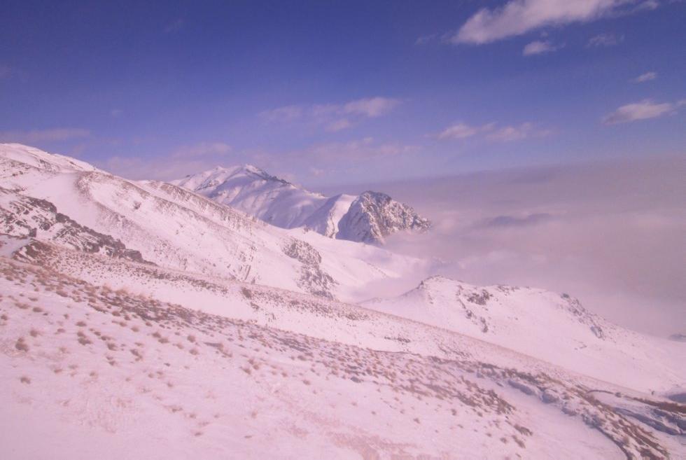 ��������� ���������� ���� ��������� �������������� ���