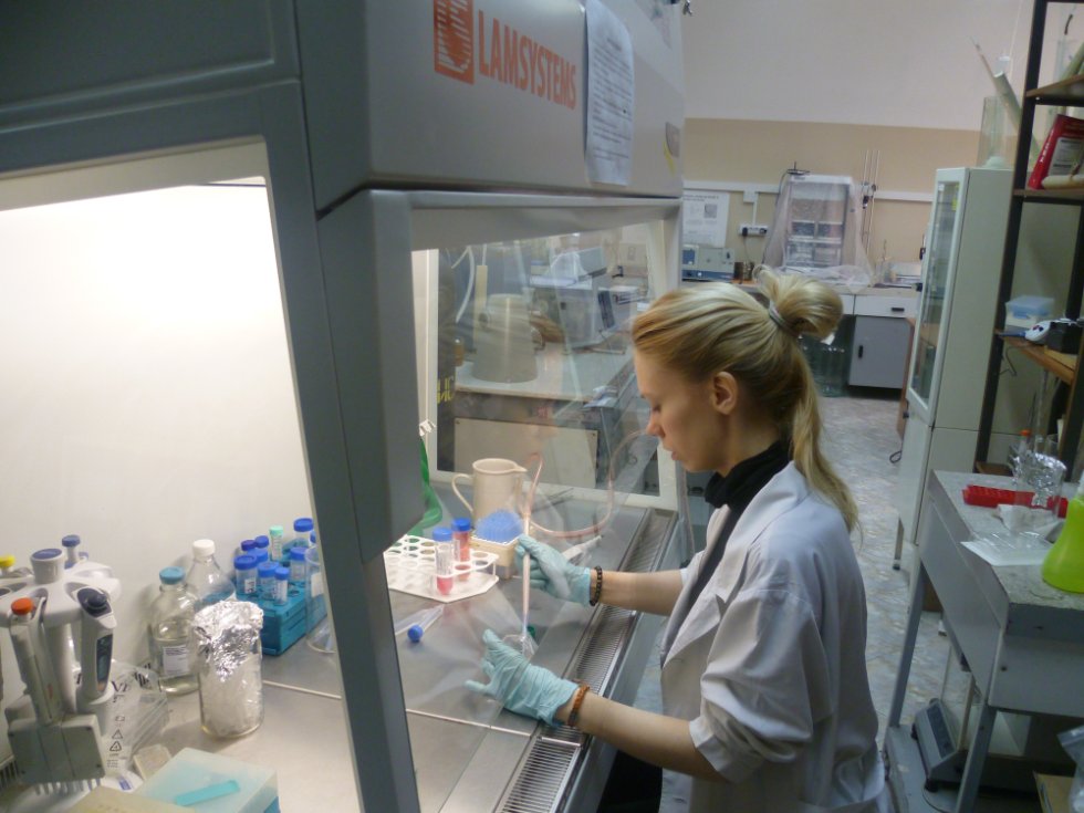 ������� ��������