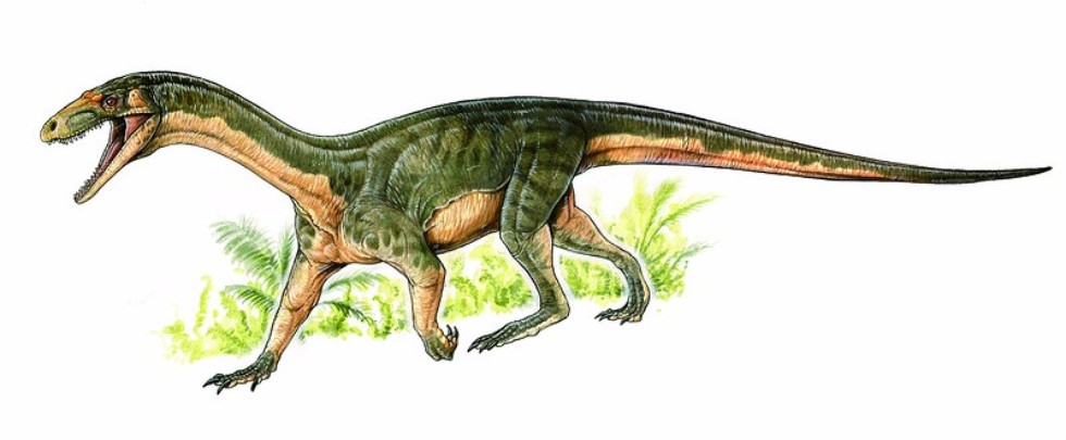 Палеобиологи перевернули традиционное представление о предках динозавров ,САЕ Эконефть, палеобиология, динозавры