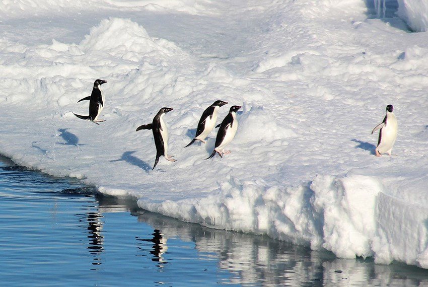 ����� ������ ������ ��� � ����������