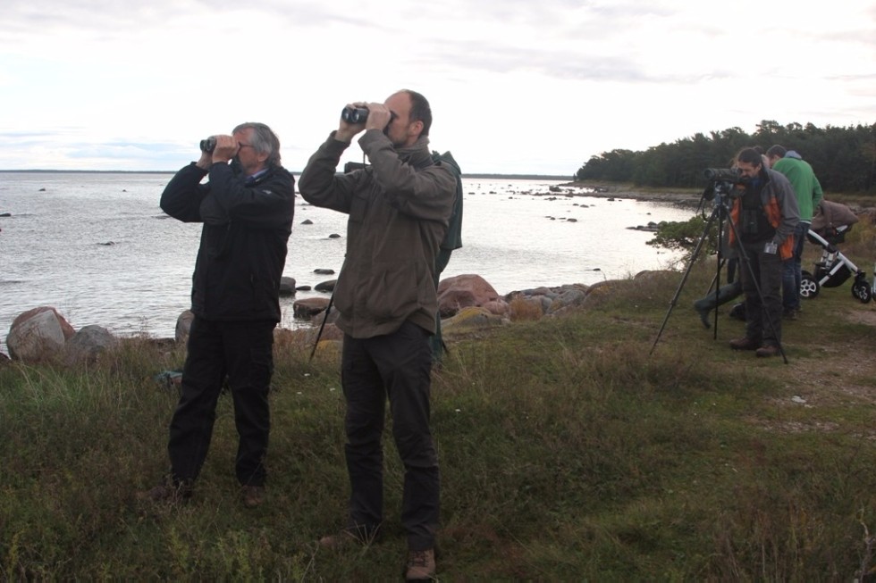 �� ����������� '�����-��������� 2017' � ������� �������� ������ ����������� ��������� ���