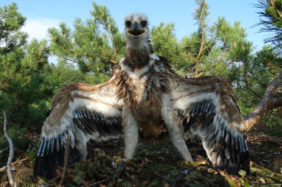 ������ ����������� ��������� ��� �������� ���������� ����������� ������� ���� ���� �� ���������� ����������