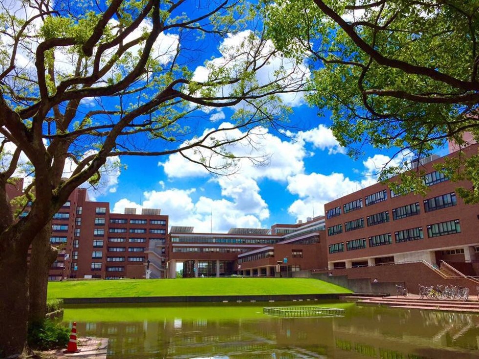 ���� �������: '��-���������� ��� ����� ���������� ������ ���������� �����'