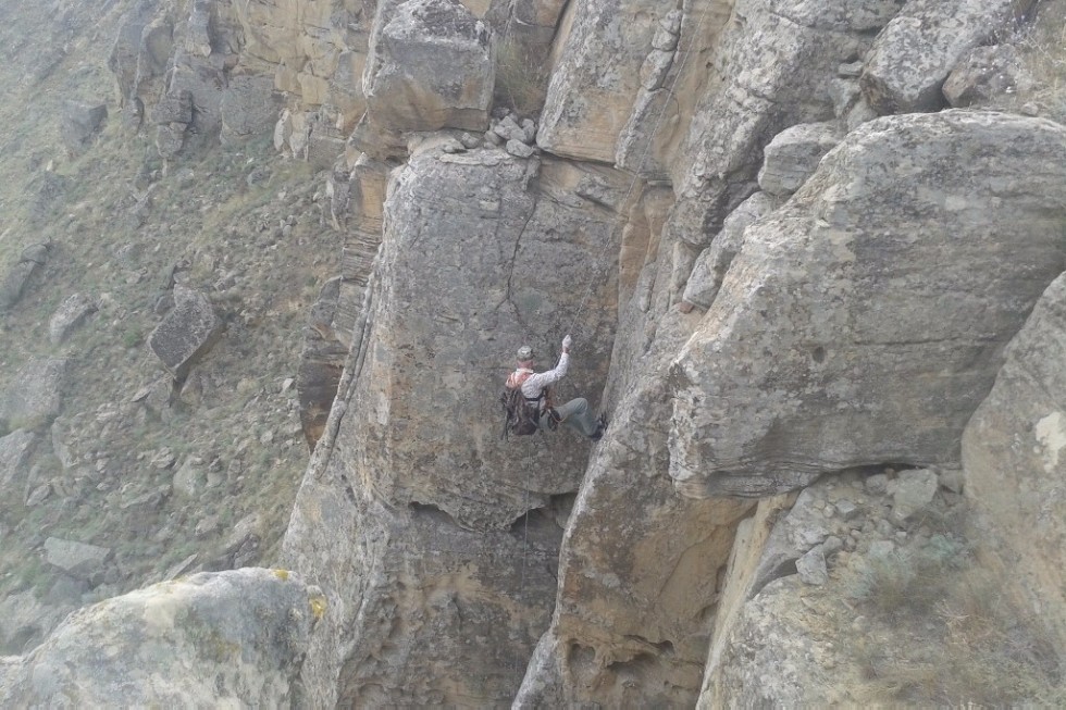 Scientist of Yelabuga Institute of KFU investigates birds from Tatarstan to Dagestan