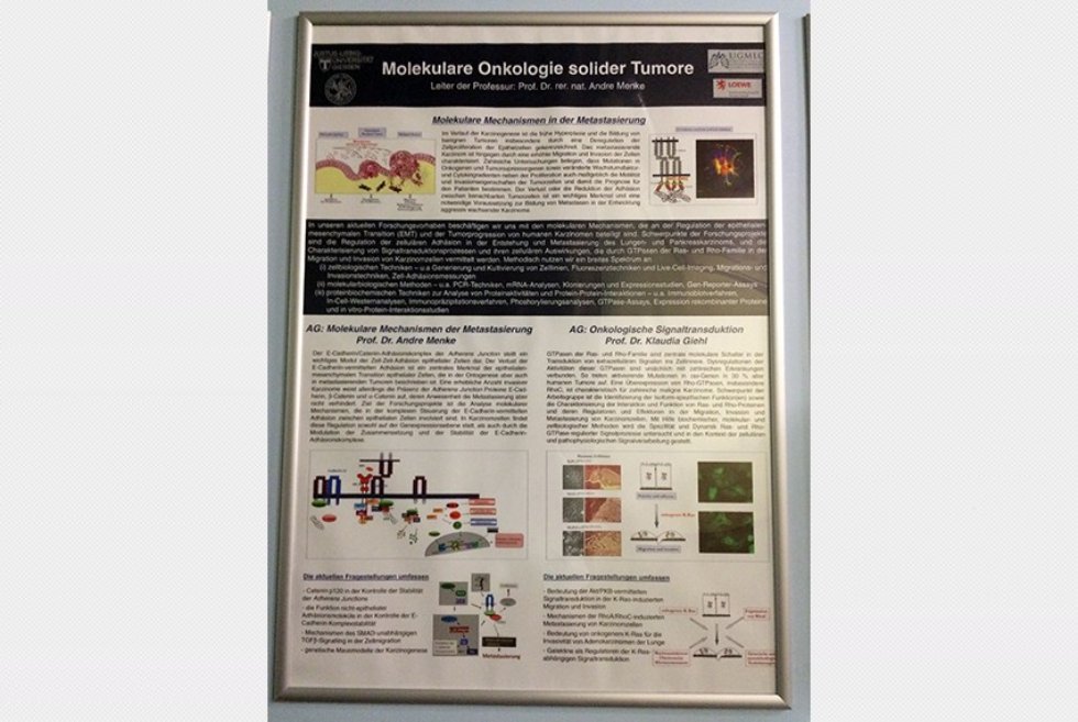 ������� ���������� �� ����������� ���������� � ����������� ����������������� ������������� ��� ������������ ��. ������-������ (������, ��������)