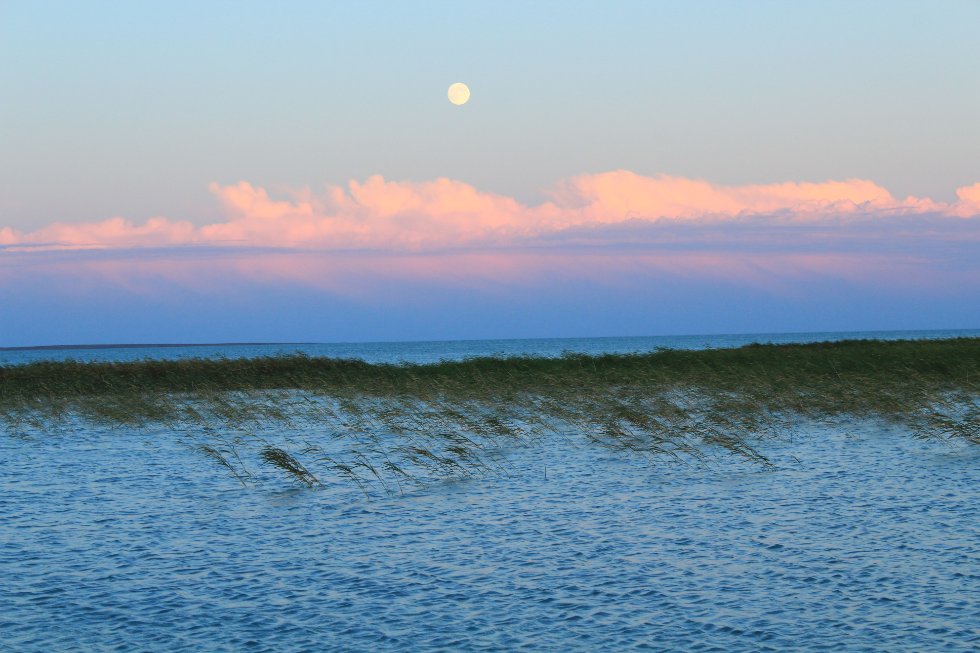 ����� ������