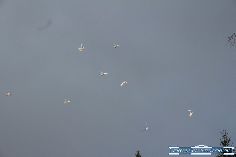 В Набережночелнинскои институте КФУ прошло открытие нового учебного здания В Набережночелнинскои институте КФУ прошло открытие нового учебного здания