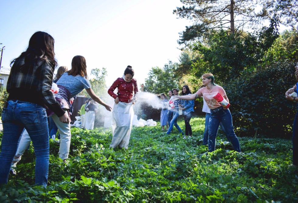 '���� �������', ��������� ����� � ������� �� ��������� �� ����: ���������� � ������������� ������ ? 2017