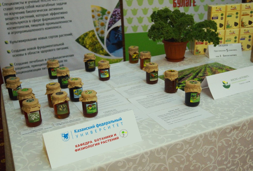 ���������� �����������, ����������