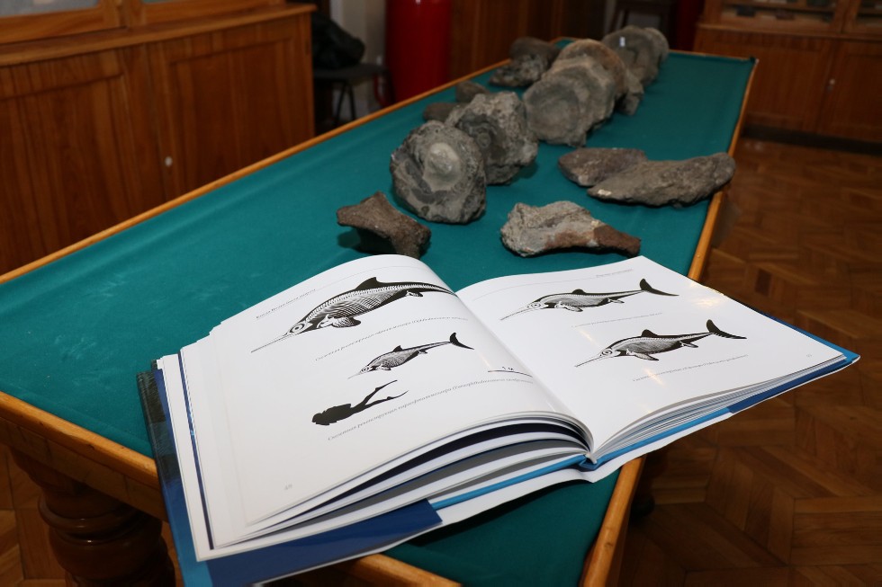 Fossils of ichthyosaur species gifted to Kazan University's Geological Museum ,Kazakhstanosaurus, ichthyosaur, Geological Museum