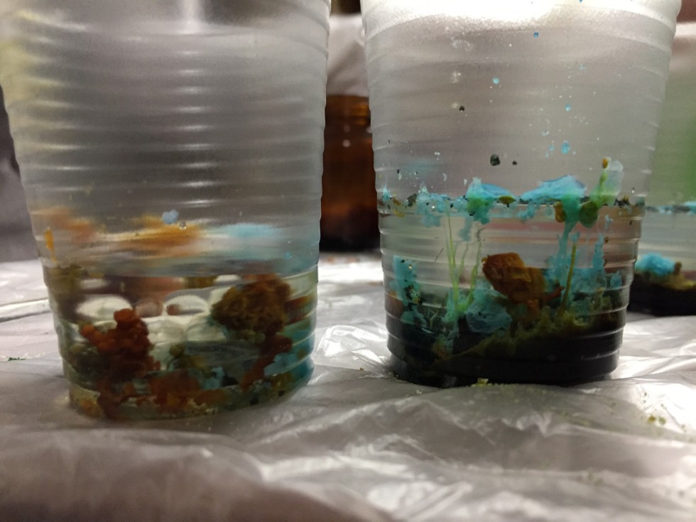 ����� ���������� ����������� ��������