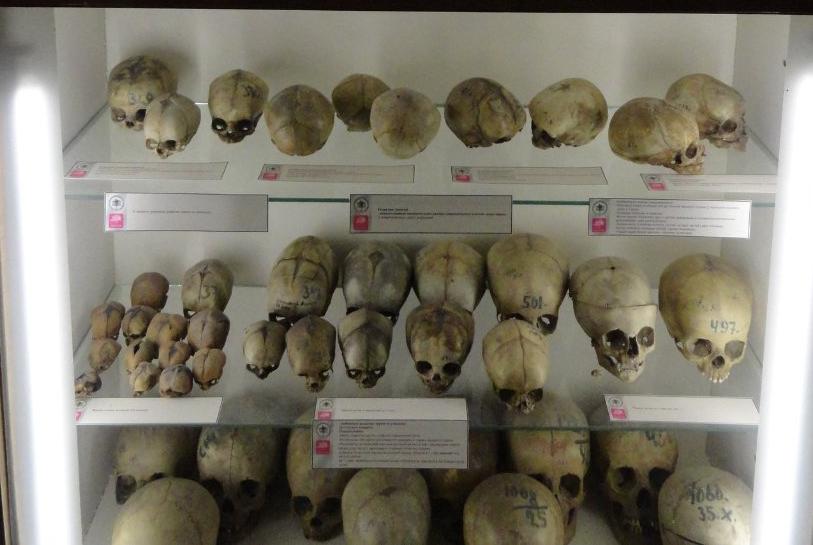 ����� ���������-����������� � ������������� �����