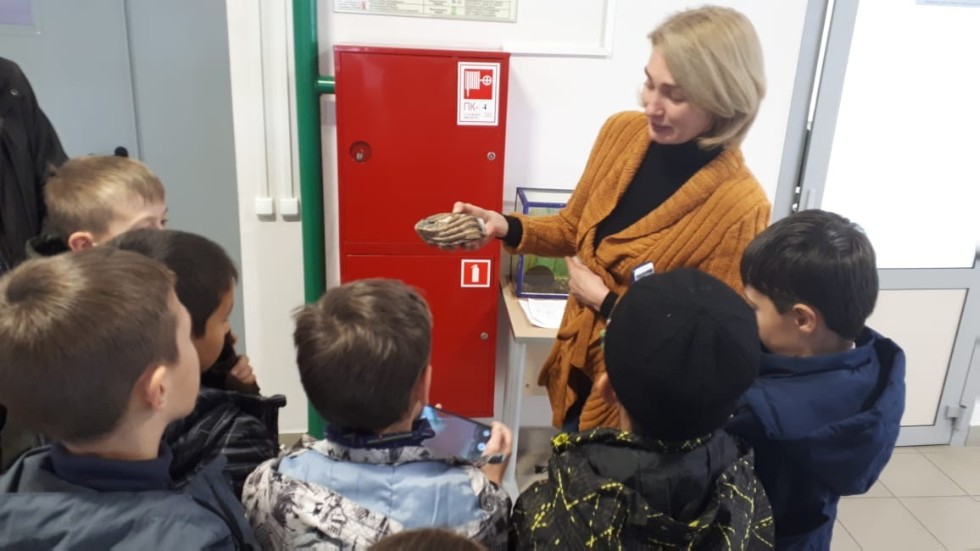 � ������� �������� ���� -�������� ������������������ ������ � ���������� ���������