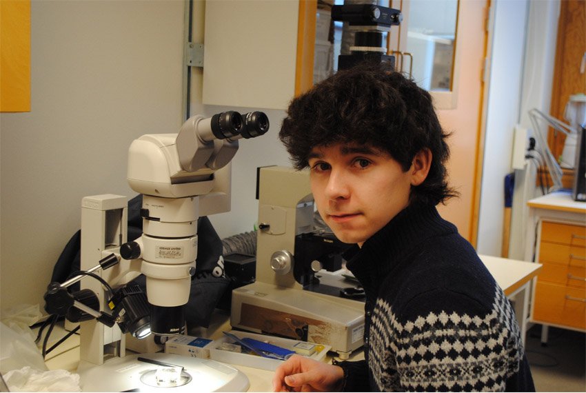 ������������� ����� �� ����������� ��������� �������� (�������, ������)