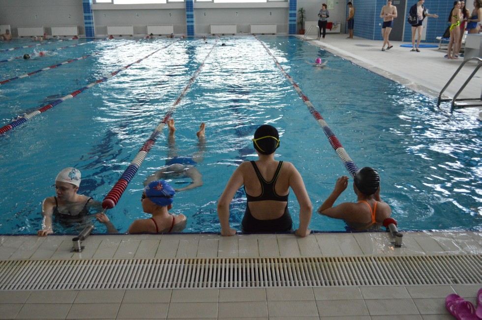 � �������� ���� - �������� ���