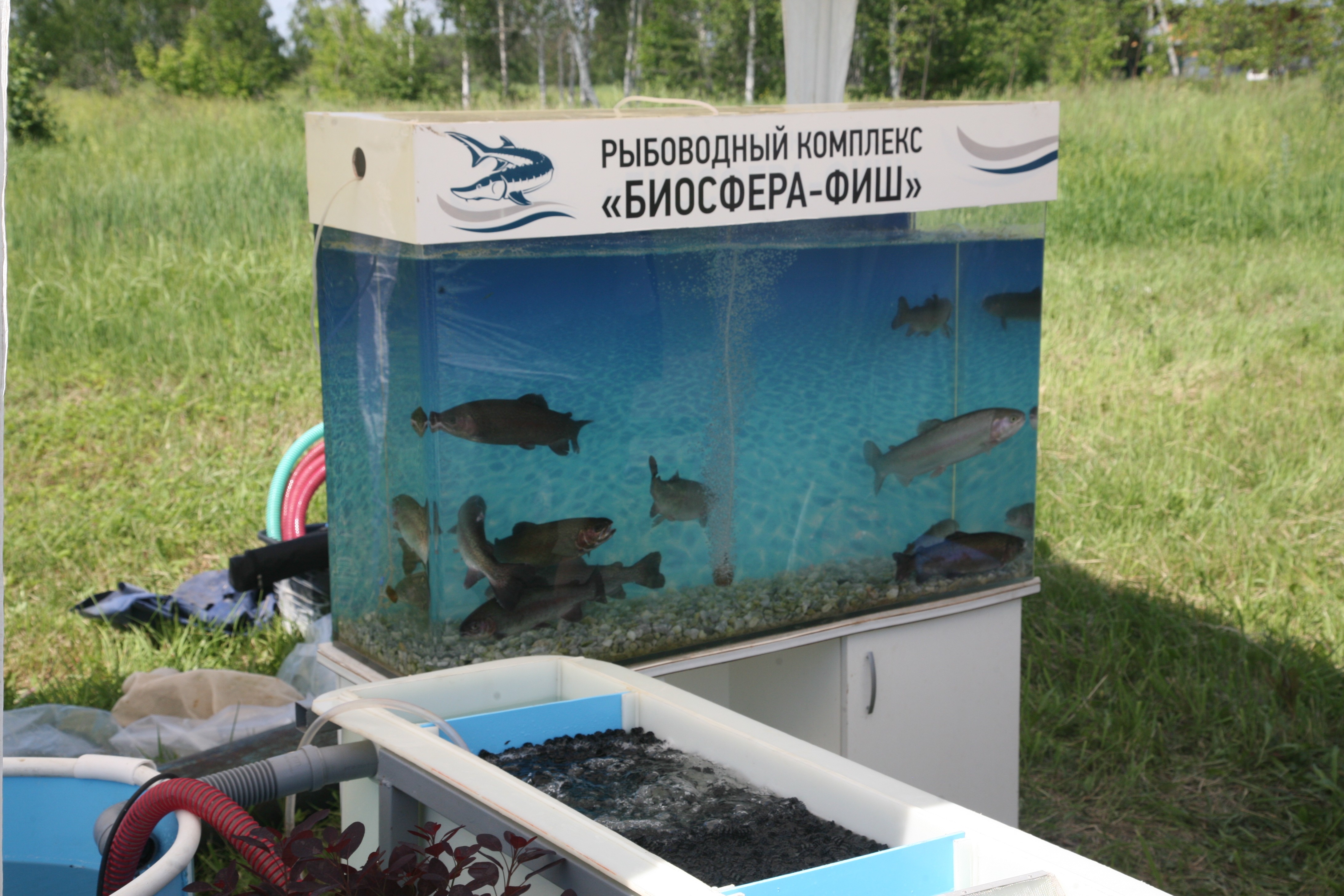 �����-��� - ������������ ��������� �������� !