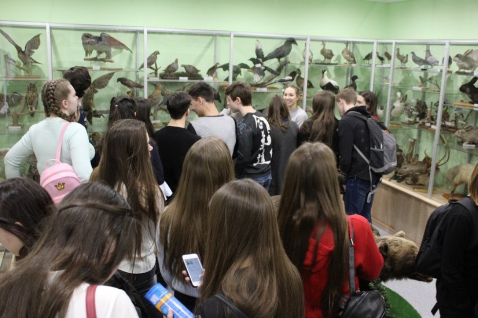 ��������������� ������� ����������� ���������� �� �������� - 2019