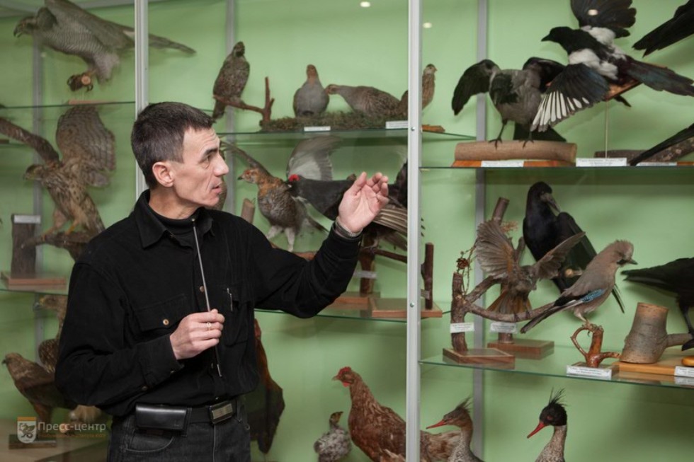 The museum complex of Elabuga institute of KFU was replenished with a zoological exposition The museum complex of Elabuga institute of KFU was replenished with a zoological exposition