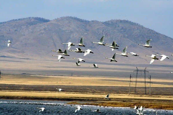 11 ������ - ������������� ���� ������������ � ������������ ������