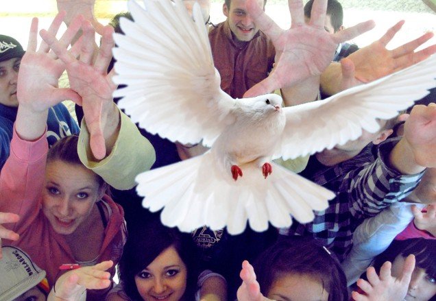 '������������ ����������� � ���������� � ���������� �����'