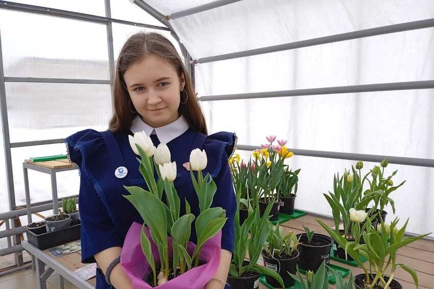 ������������ ����������� � '���������������' ����� ����������