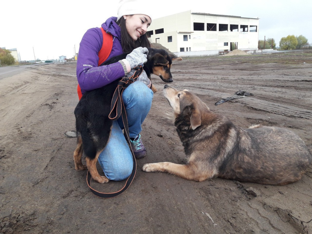 ������������ ��������