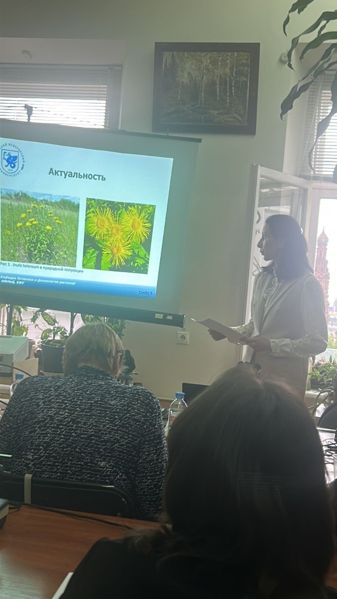 ����������� ����������