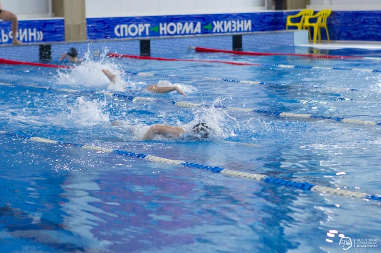 ���� ������ �� ����������! ,������� &laquo;�����������&raquo;, ��������� XV '������������ �����������', ������