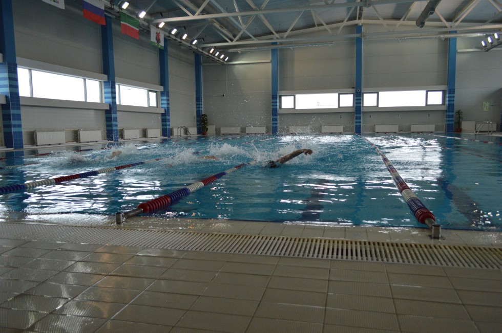 � �������� ���� - �������� ���