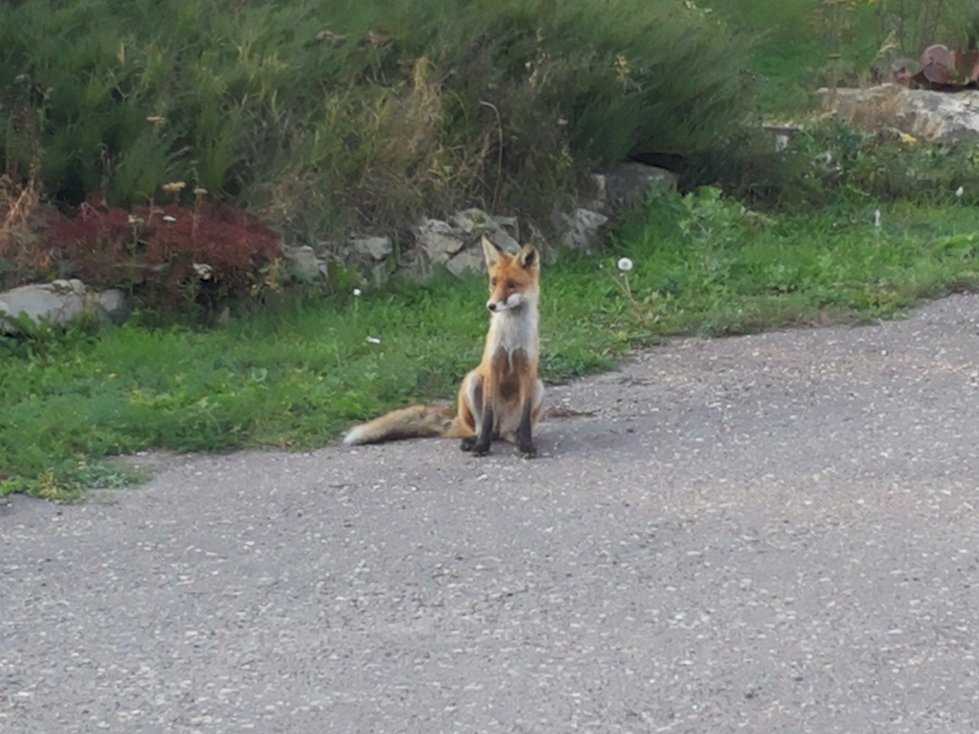 ������������ ���